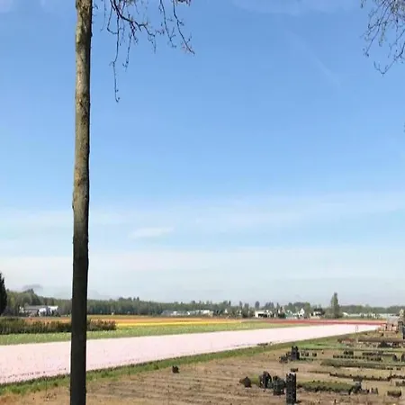 Holiday Home In Noordwijkerhout By Lake Noordwijkerhout