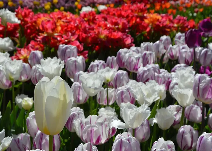 Holiday Home In Noordwijkerhout By Lake