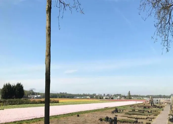 Holiday Home In Noordwijkerhout By Lake Нордвейкерхаут