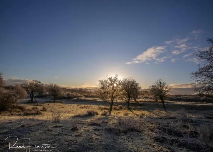 Holiday Home In Noordwijkerhout By Lake Дом отдыха Нордвейкерхаут